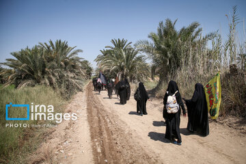 Marche d'Arbaeen:  route de Divaniyeh