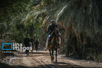 Marche d'Arbaeen:  route de Divaniyeh