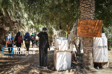 Marche d'Arbaeen:  route de Divaniyeh