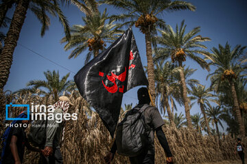 Marche d'Arbaeen:  route de Divaniyeh