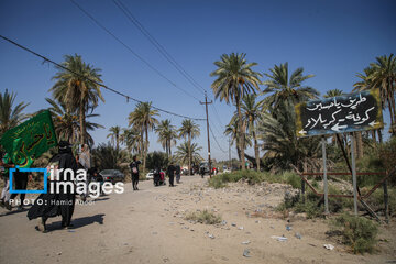 Marche d'Arbaeen:  route de Divaniyeh