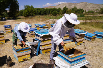 اجرای طرح‌ منظومه روستایی موجب بهبود معیشت ساکنان روستاها می‌شود