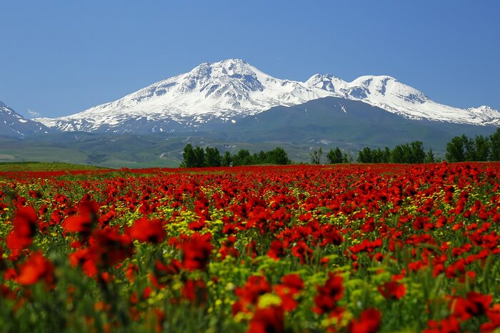 نقشه راه اردبیل در مسیر سرمایهگذاری برای تولید