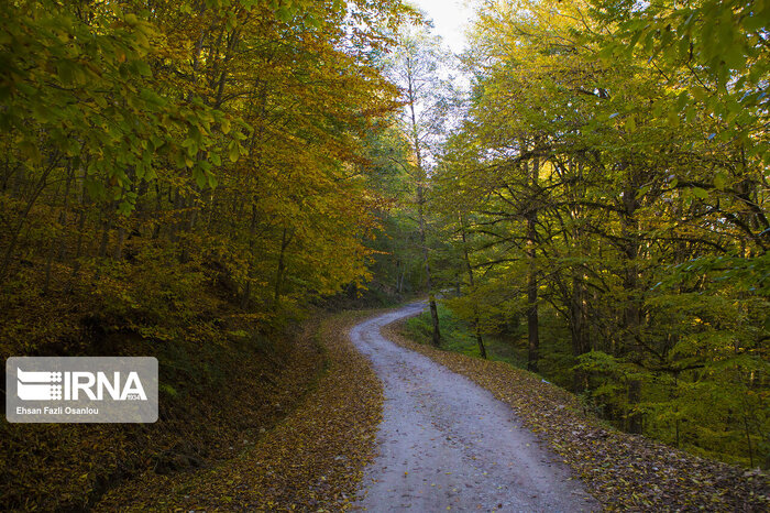 کلاهبرداران ۲ هزار میلیارد ریالی در چالوس دستگیر شدند