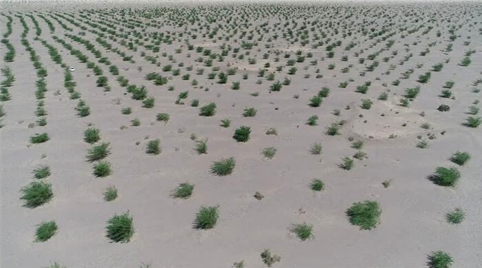 ۱۲ طرح منابع طبیعی جنوب کرمان برای هفته دولت آماده افتتاح یا کلنگ‌زنی شد