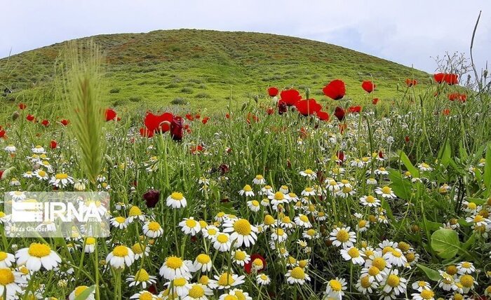 هواشناسی نسبت به ریزش سنگ در جادههای کوهستانی مازندران هشدار داد