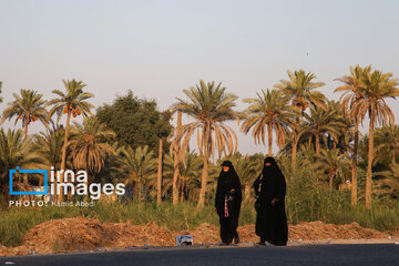 Marche d'Arbaeen: région de Salahiyeh