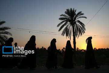 Marche d'Arbaeen: région de Salahiyeh