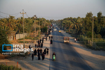 Marche d'Arbaeen: région de Salahiyeh