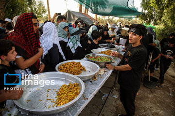 Marche d'Arbaeen: région de Salahiyeh