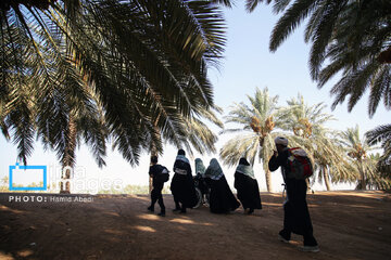 Marche d'Arbaeen: région de Salahiyeh