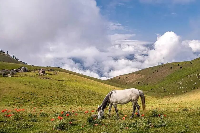 ییلاقات تالش؛ مقاصد خوش آب و هوای گیلان برای سفرهای تابستانی