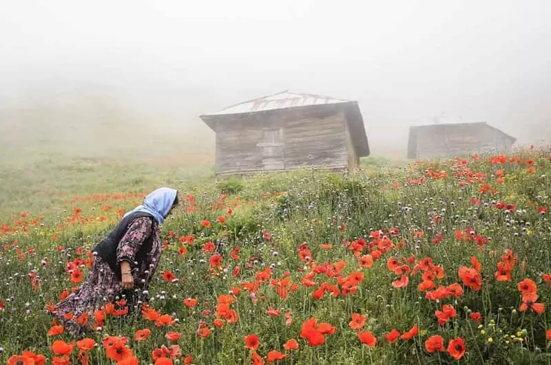 ییلاقات تالش؛ مقاصد خوش آب و هوای گیلان برای سفرهای تابستانی