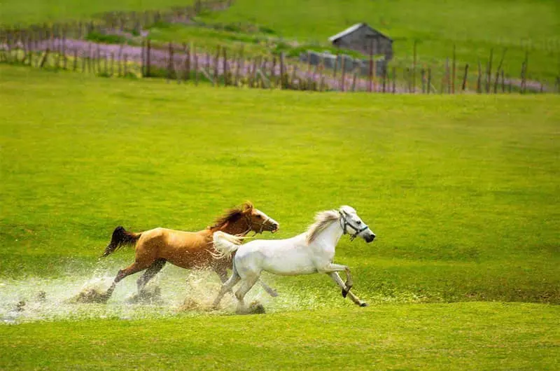 ییلاقات تالش؛ مقاصد خوش آب و هوای گیلان برای سفرهای تابستانی