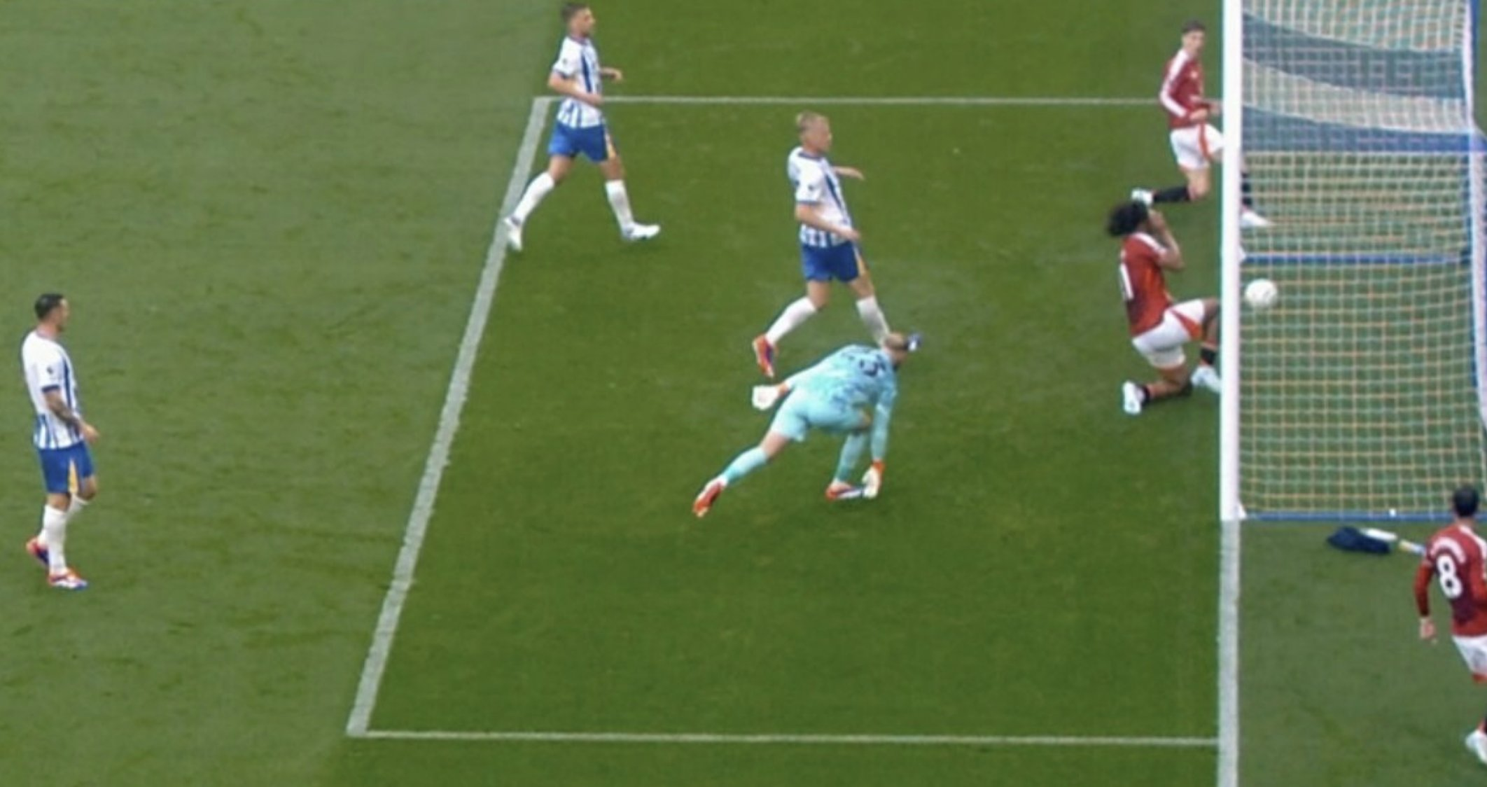 برایتون گربه سیاه شیاطین سرخ؛ دخالت بیموقع ۳ امتیاز را از منچستریونایتد گرفت