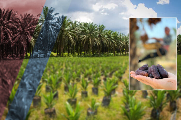 لزوم طراحی «تقویم اقتصادی» با برنامههای کوتاه و بلندمدت برای هرمزگان