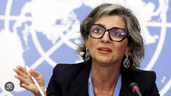 UN human rights rapporteur calls for punishing Israel for Gaza genocide