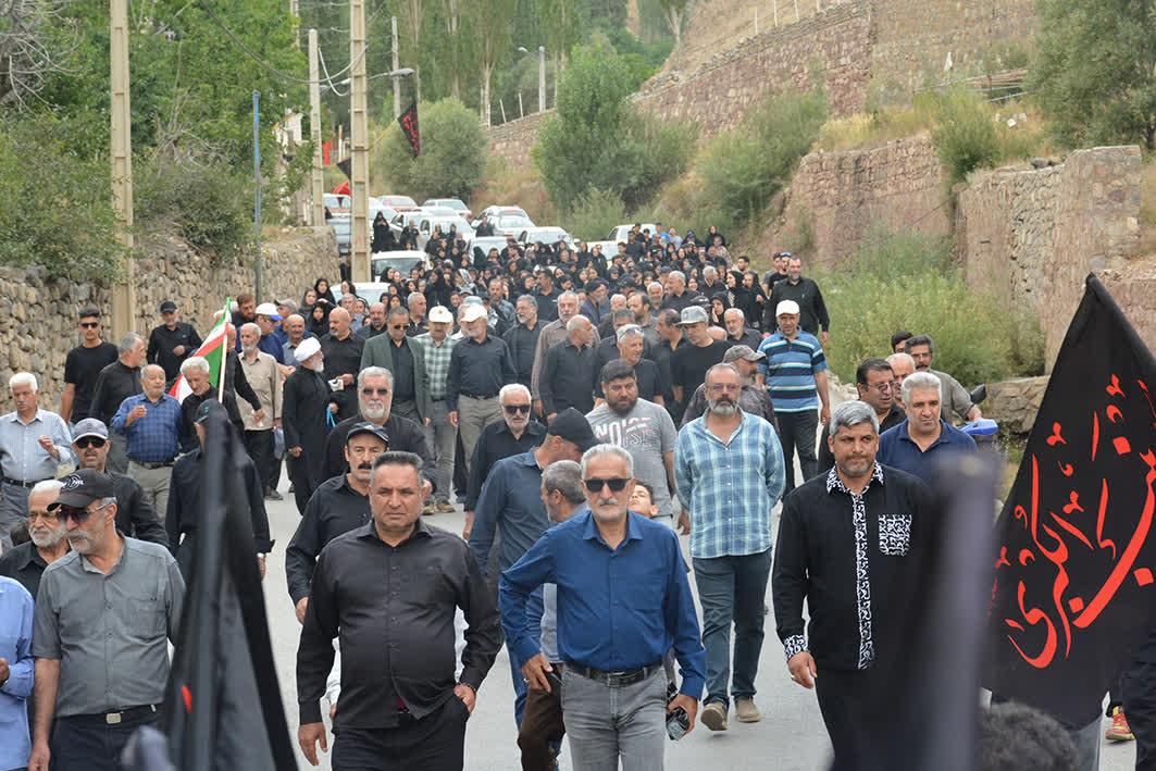 قلب‌هایی که از استان تهران تا حرم سیدالشهدا(ع) پرکشیدند