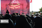 Arbaeen mourners hold march in Tehran