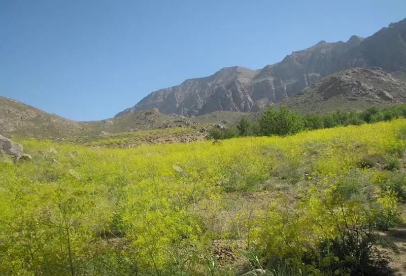 خنکترین جاهای دیدنی یزد برای سفرهای تابستانی