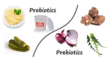 هر آنچه باید درباره پروبیوتیک و پری بیوتیک بدانیم