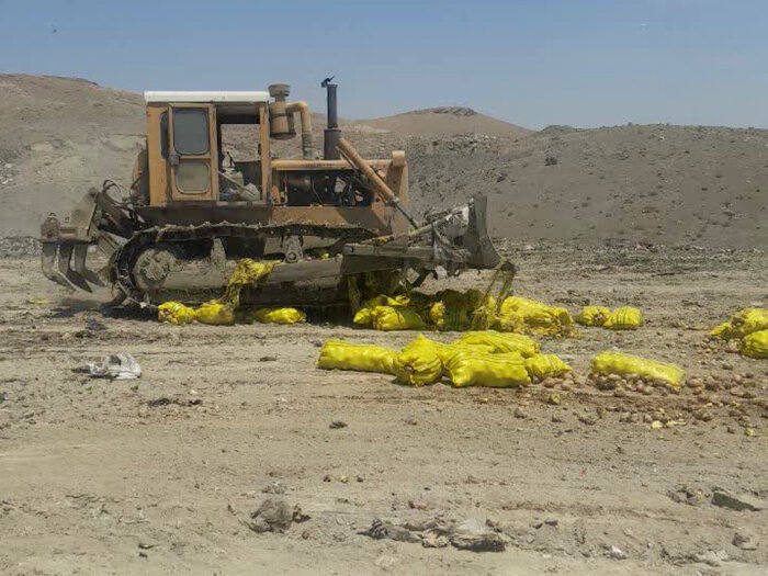 آبیاری محصولات کشاورزی با فاضلاب تهدیدی جدی برای سلامت شهروندان است