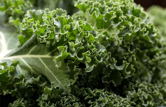 غذاهای فوق العاده برای حفظ سلامتی زنان