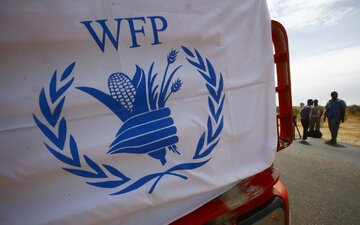 WFP halts Gaza operations after Israeli attack on aid truck