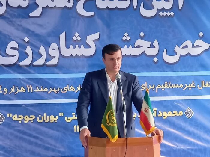 قائم مقام وزیر جهاد کشاورزی: کف قیمت خرید برنج داخلی هفته آینده اعلام می شود