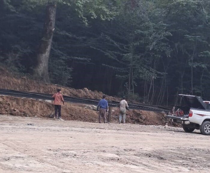 تحرکات جنگل الیمالات زیر ذرهبین نهادهای اجرایی، نظارتی و قضایی