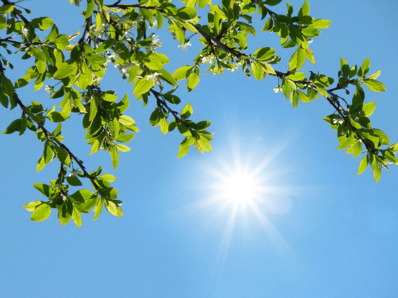 افزایش نسبی دما در نیمه شمالی کشور/ پیشبینی جوی آرام برای بیشتر مناطق افزایش نسبی دما در نیمه شمالی کشور/ پیشبینی جوی آرام برای بیشتر مناطق