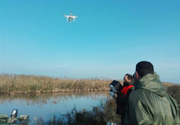 انقراض یوزپلنگ آسیایی در صورت تامین نشدن اعتبار حفاظت قطعی است