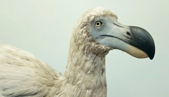 آیا ماموتها از دنیای مردگان برمیگردند؟