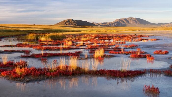 آیا ماموتها از دنیای مردگان برمیگردند؟