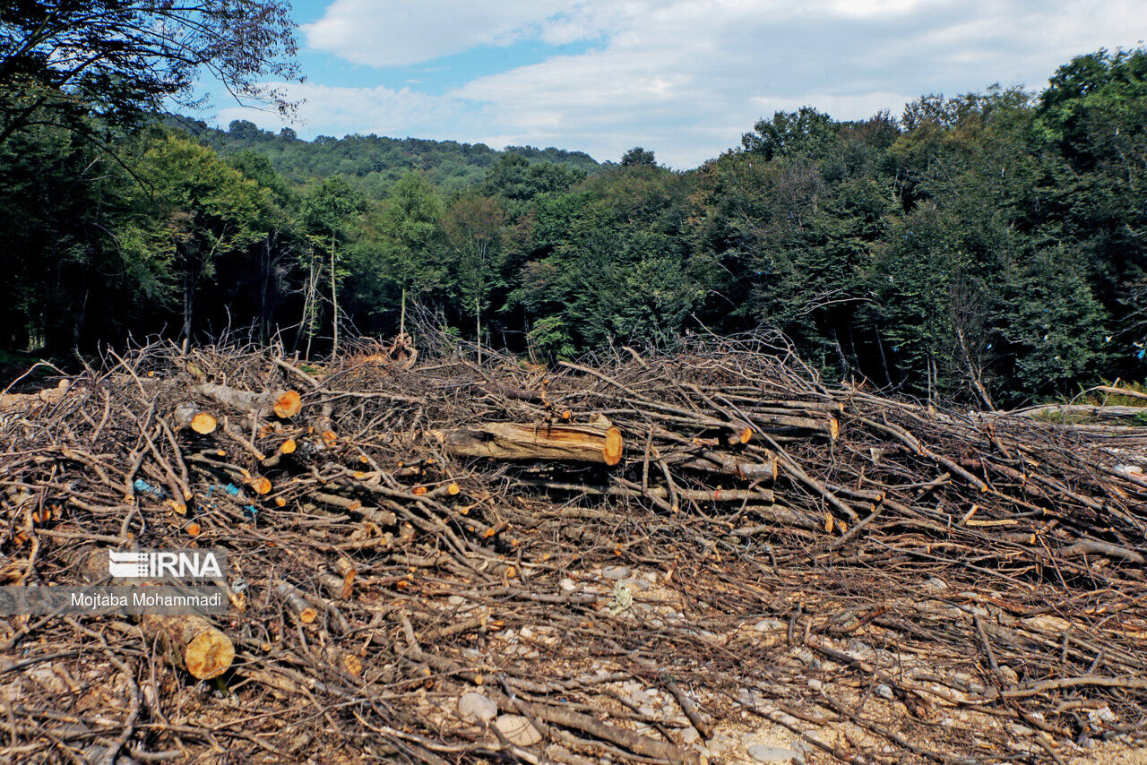 مسلخ هیرکانی مسلخ هیرکانی