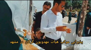 فیلم| خدمت گلستانی‌ها به زائران حرم رضوی