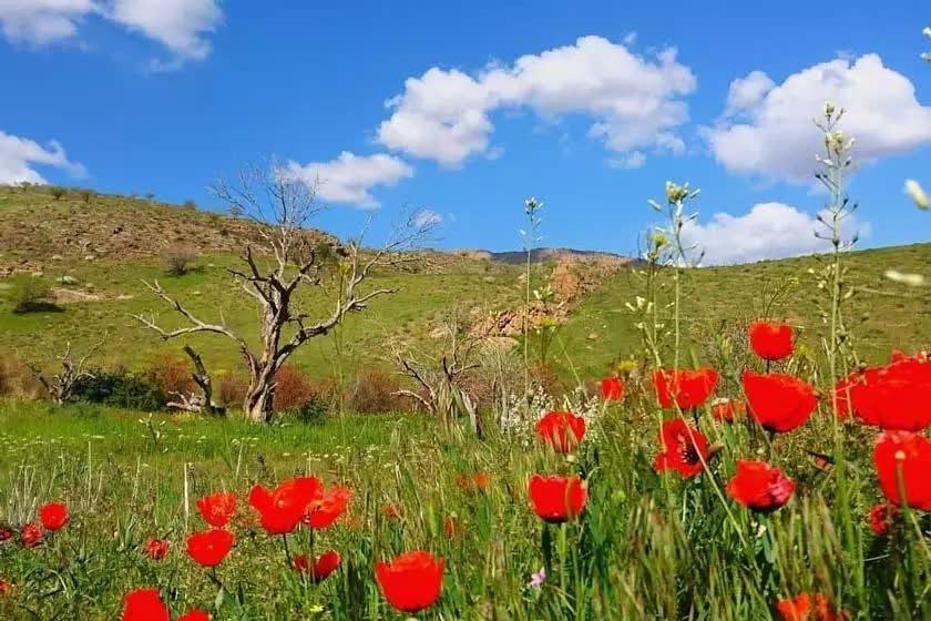 پاکدشت نگین گردشگری استان تهران