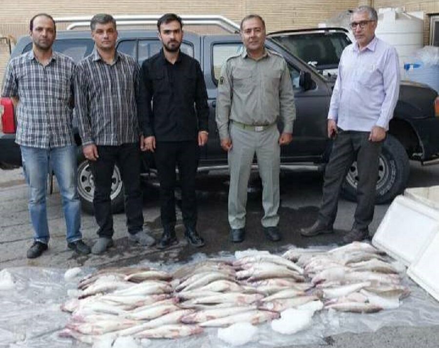 کشف و توقیف قاچاق ماهیان سد ارس به شمال کشور کشف و توقیف قاچاق ماهیان سد ارس به شمال کشور