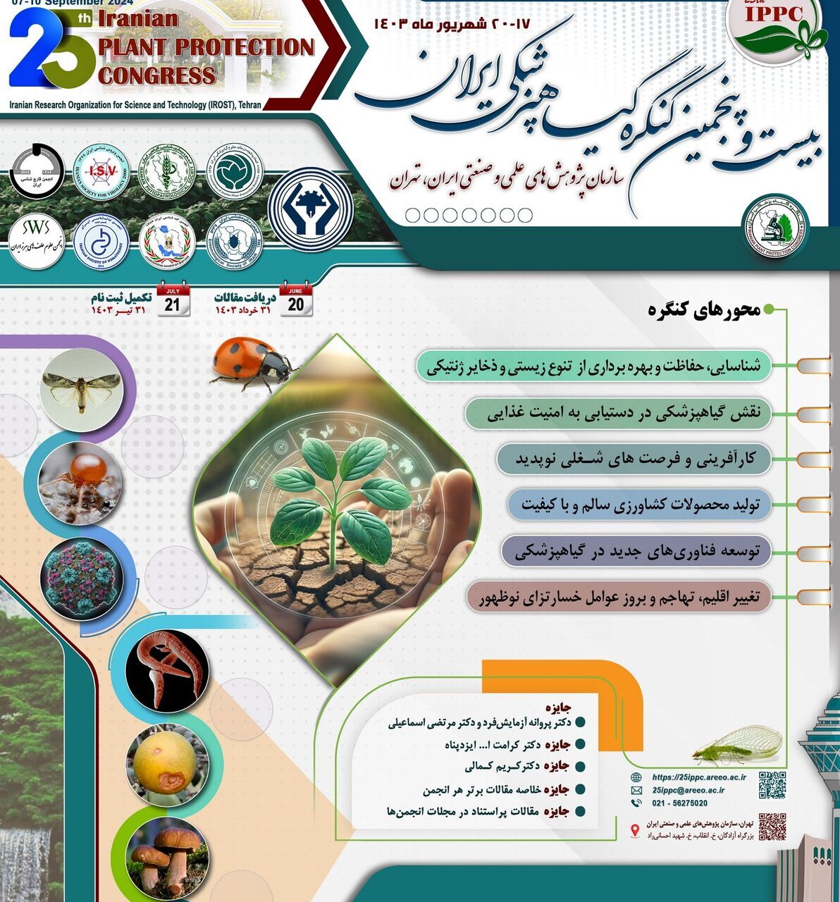 اقامة مؤتمر التداوي بالاعشاب الطبية