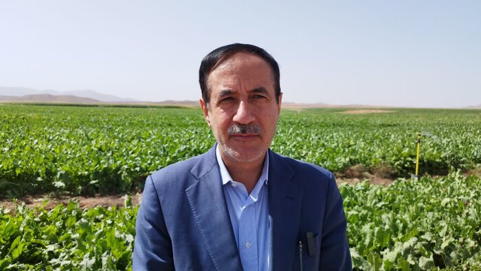 آبیاری هوشمند بهرهوری آب را تا ۹۵ درصد افزایش میدهد