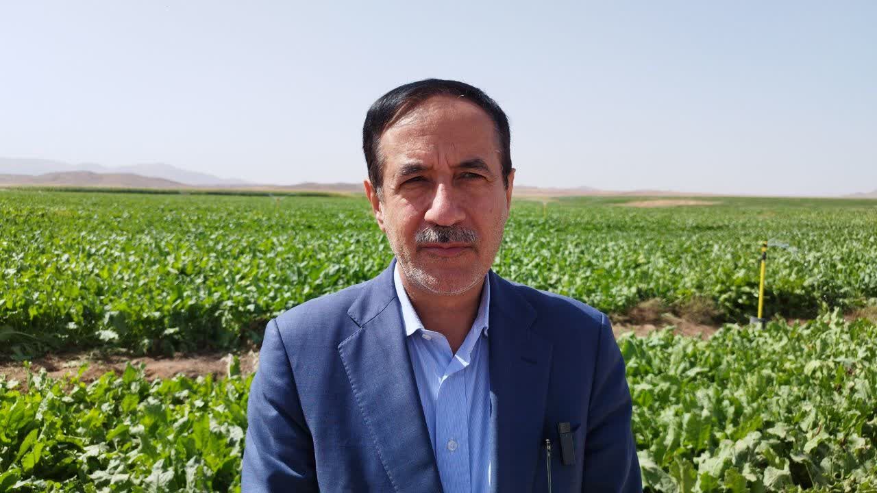 معاون وزیر: یکهزار طرح کشاورزی در کشور افتتاح شد