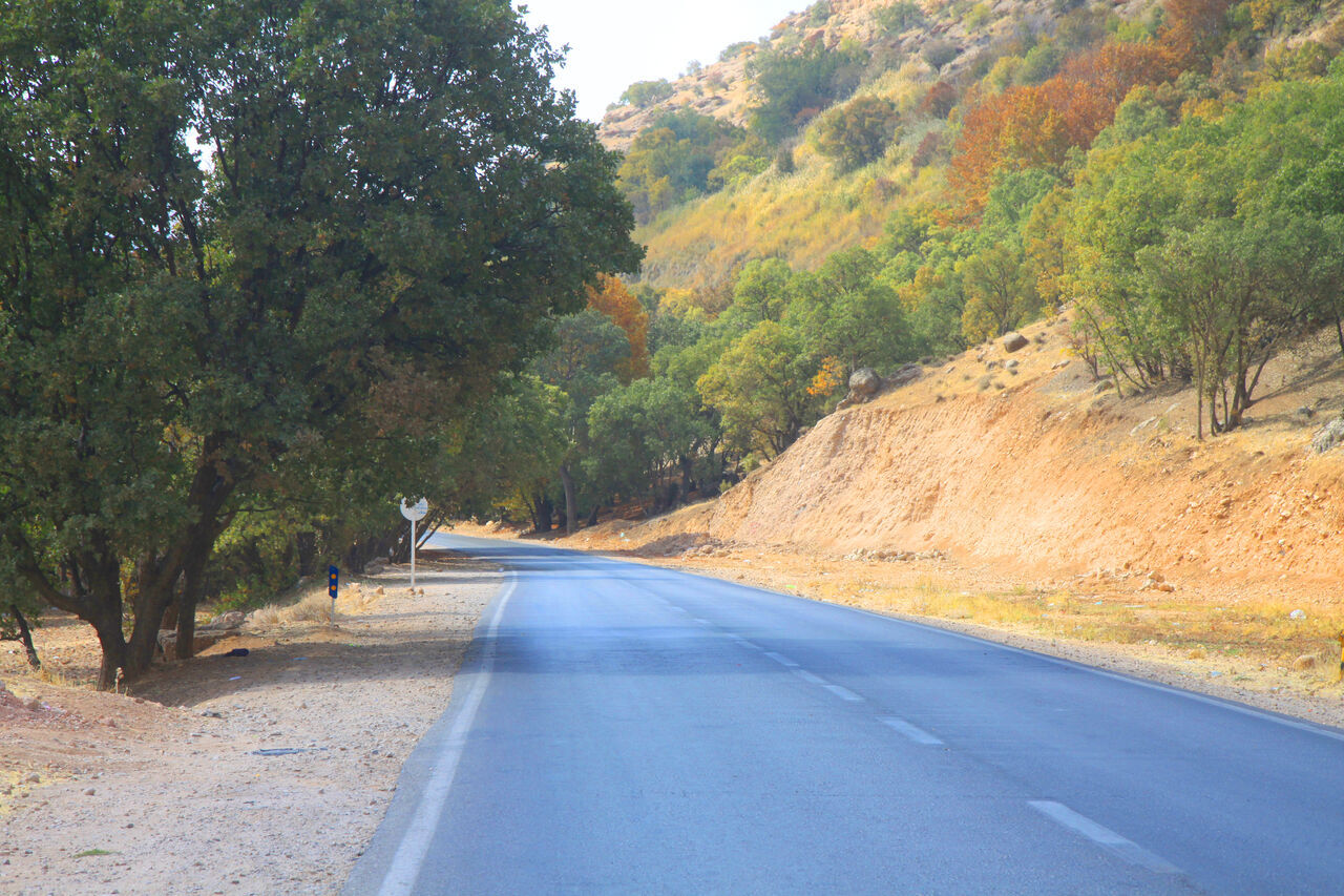 تنگ گنجه ای، گنجیه ای بی نظیر در یاسوج
