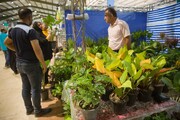 برپایی نمایشگاه گل و گیاه در کرمانشاه/کاشت گل‌های آپارتمانی آموزش داده می‌شود