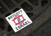 Спецдокладчик ООН призывает к санкциям против Израиля