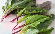 برگ چغندر؛ سرشار از آنتی اکسیدان و املاح معدنی