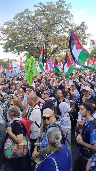 Le rassemblement pour la Palestine hier à Paris