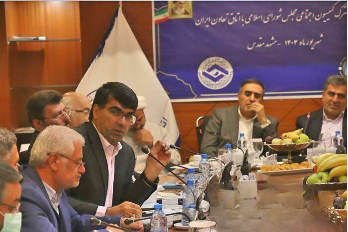 تقدیر از عملکرد مدیرعامل بانک توسعه تعاون در نشست کمیسیون اجتماعی مجلس شورای اسلامی