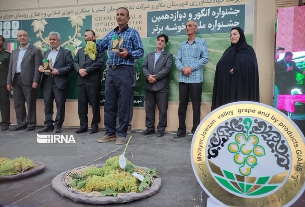 تندیس خوشه‌های برتر انگور در دستان باغداران ملایری