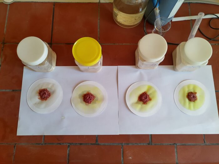 کیت تشخیص اوره از بی نظمی در خوراک دام جلوگیری می کند