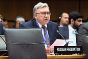 Russia welcomes coordination between IAEA chief, Iran gov’t